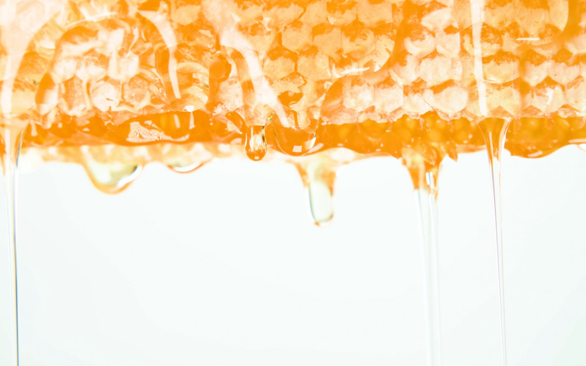 Savannah Bee Company - Products